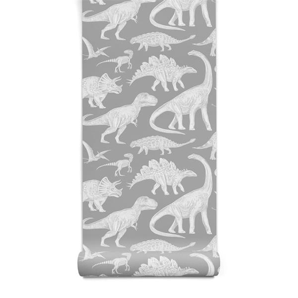Grote foto behang dino gray 2 8 m rol dino gray kinderen en baby complete kinderkamers
