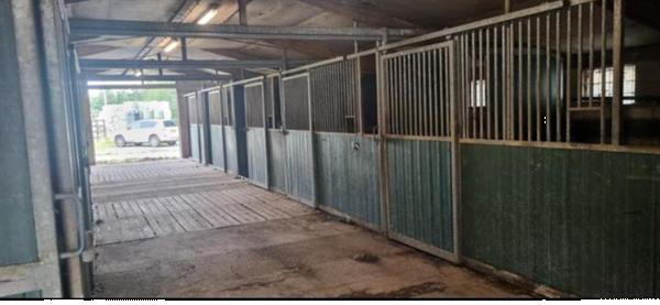 Grote foto paardenboxen agrarisch stallen