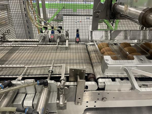 Grote foto g. mondini e 350 vg top seal verpakkingsmachine met ontnester agrarisch tuinbouw