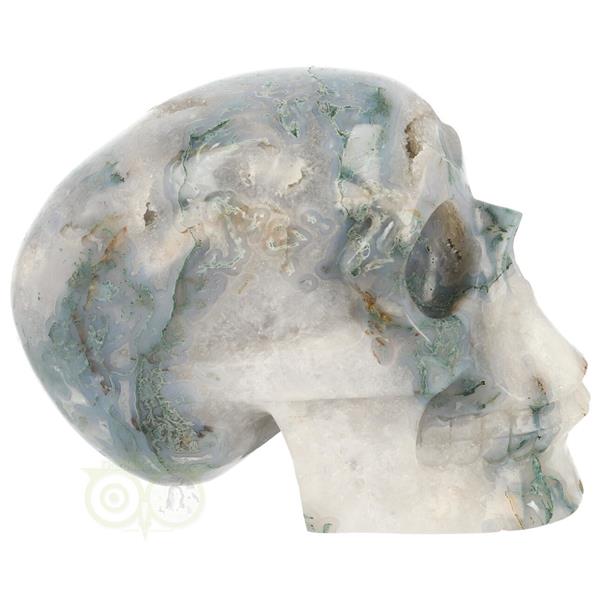 Grote foto mosagaat schedel 1482 gram verzamelen overige verzamelingen