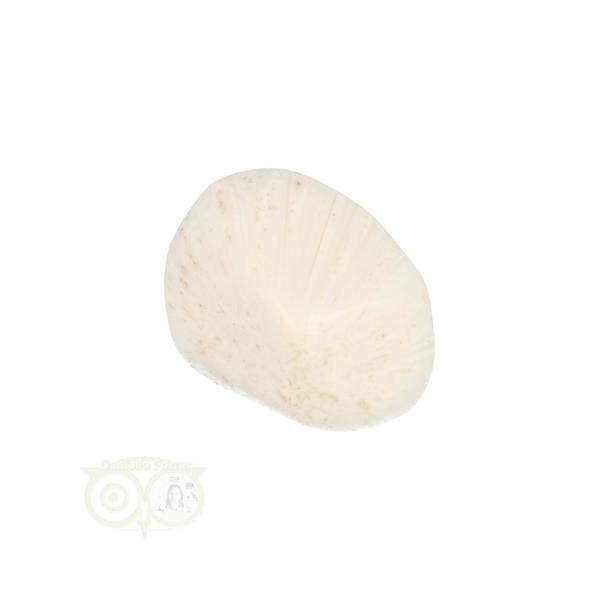 Grote foto scolesiet knuffelsteen nr 22 15 gram verzamelen overige verzamelingen