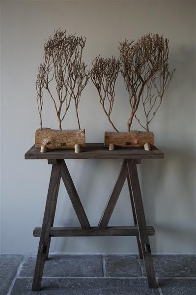 Grote foto theeboompje indonesie op standaard h68 x b31 cm huis en inrichting woningdecoratie
