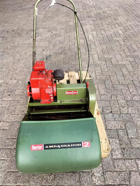 Grote foto hayter kooimaaier tuin en terras kooimaaiers