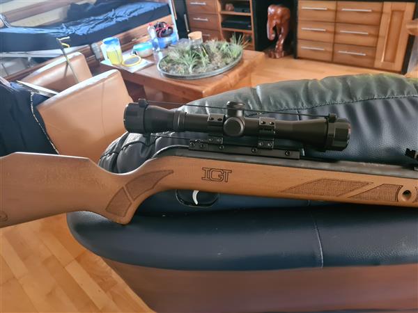 Grote foto aangeboden knikloopbuks diversen overige