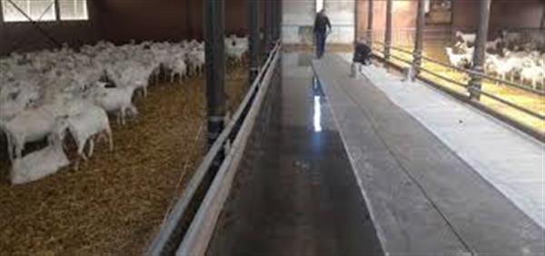 Grote foto melkstal vloeren en voergangen agrarisch veehouderij