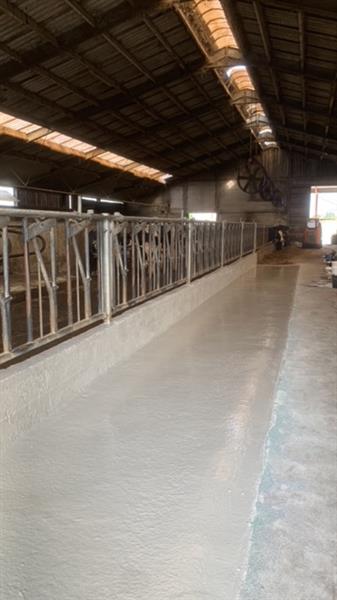 Grote foto melkstal vloeren en voergangen agrarisch veehouderij
