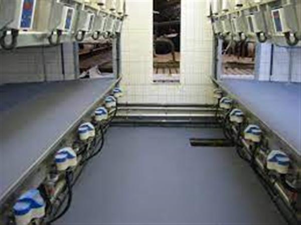Grote foto kunststofvloeren voor alle verbouwingen diensten en vakmensen aannemers