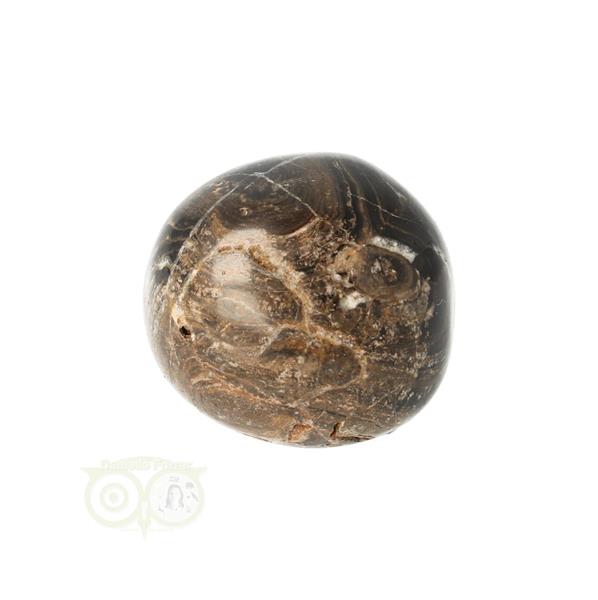 Grote foto stromatoliet knuffelsteen nr 25 25 gram verzamelen overige verzamelingen