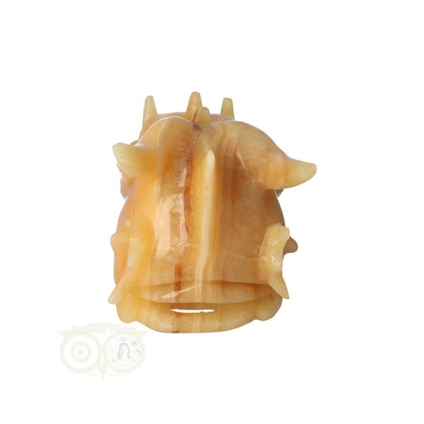 Grote foto calciet drakenschedel nr 269 782 gram verzamelen overige verzamelingen