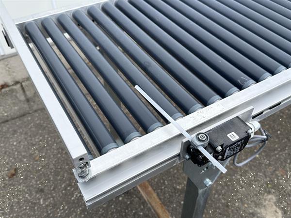 Grote foto visser vd 450 afstrooilijn voor trays met rollenbaan agrarisch tuinbouw
