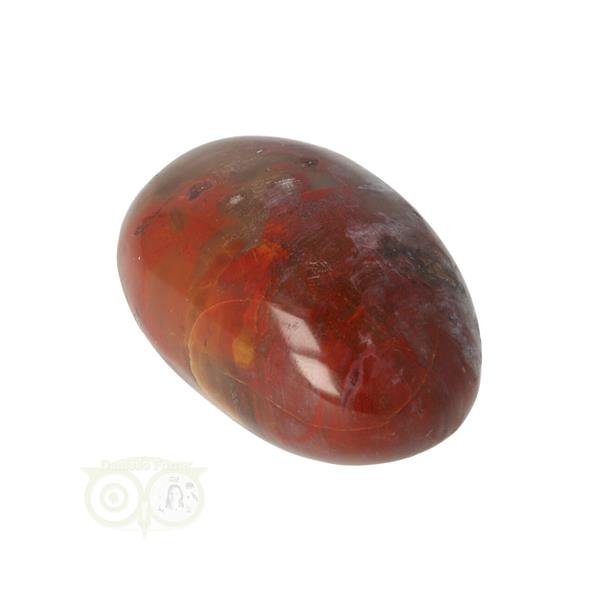Grote foto versteend hout handsteen nr 27 62 gram madagaskar verzamelen overige verzamelingen