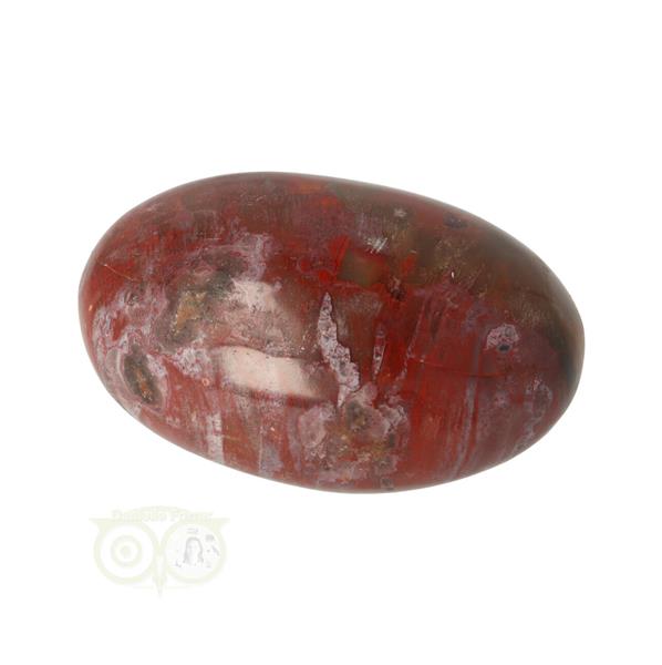 Grote foto versteend hout handsteen nr 27 62 gram madagaskar verzamelen overige verzamelingen