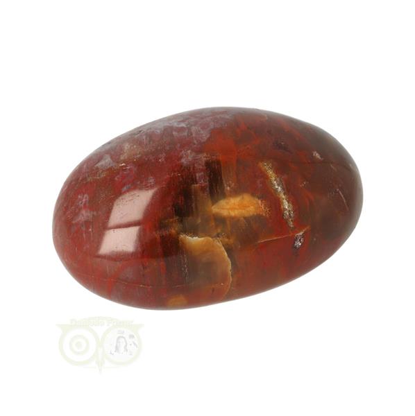 Grote foto versteend hout handsteen nr 27 62 gram madagaskar verzamelen overige verzamelingen