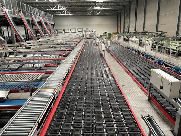 Grote foto aweta 2xg av 8 36 1 sorteerlijn voor appels en peren met 2 x 8 banen en 32 uitgangen agrarisch tuinbouw
