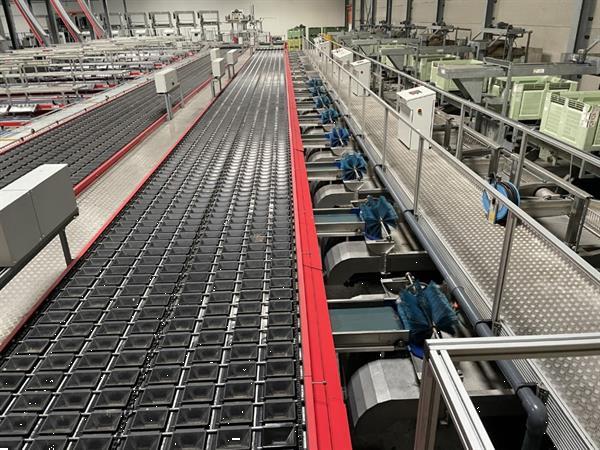 Grote foto aweta 2xg av 8 36 1 sorteerlijn voor appels en peren met 2 x 8 banen en 32 uitgangen agrarisch tuinbouw