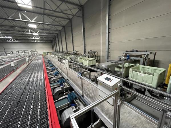 Grote foto aweta 2xg av 8 36 1 sorteerlijn voor appels en peren met 2 x 8 banen en 32 uitgangen agrarisch tuinbouw