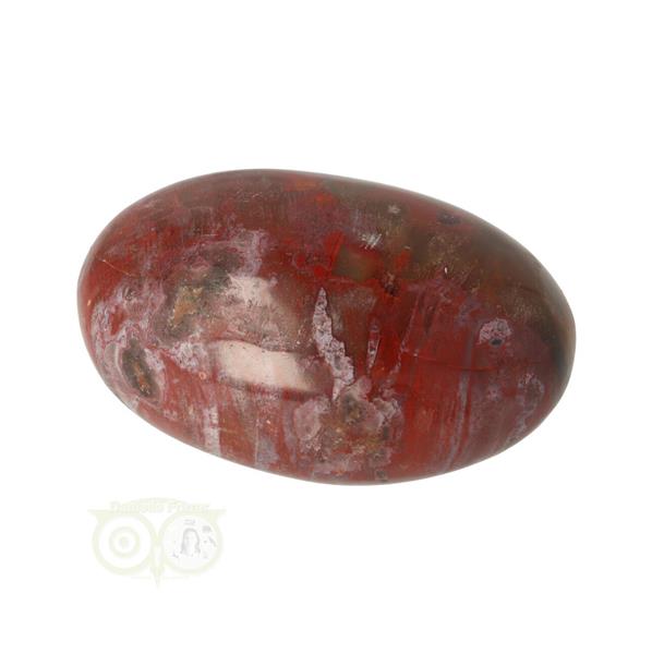 Grote foto versteend hout handsteen nr 27 62 gram madagaskar verzamelen overige verzamelingen