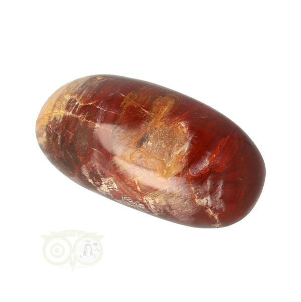 Grote foto versteend hout handsteen nr 24 81 gram madagaskar verzamelen overige verzamelingen