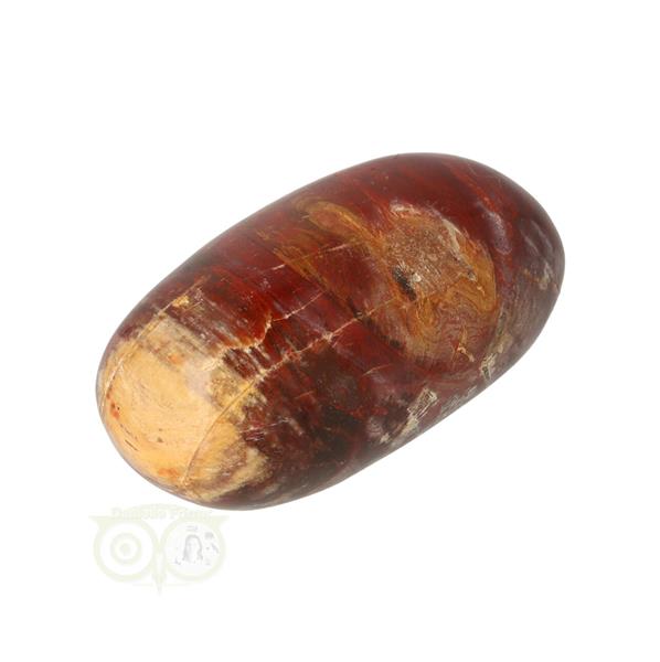 Grote foto versteend hout handsteen nr 24 81 gram madagaskar verzamelen overige verzamelingen