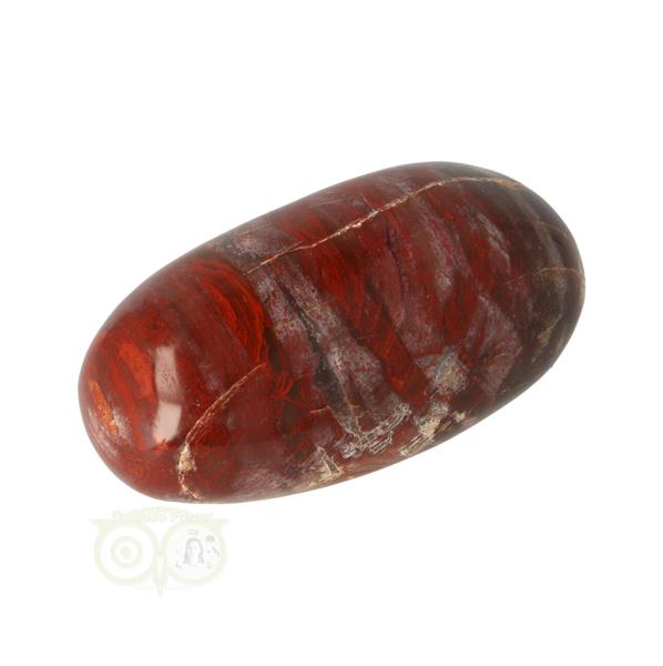 Grote foto versteend hout handsteen nr 24 81 gram madagaskar verzamelen overige verzamelingen