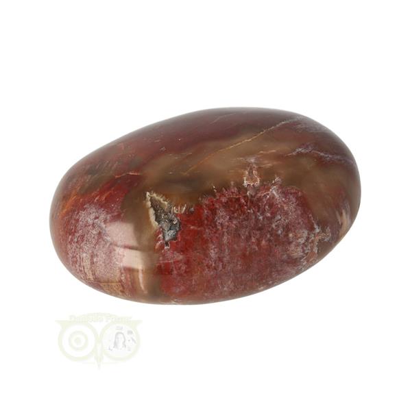 Grote foto versteend hout handsteen nr 21 77 gram madagaskar verzamelen overige verzamelingen