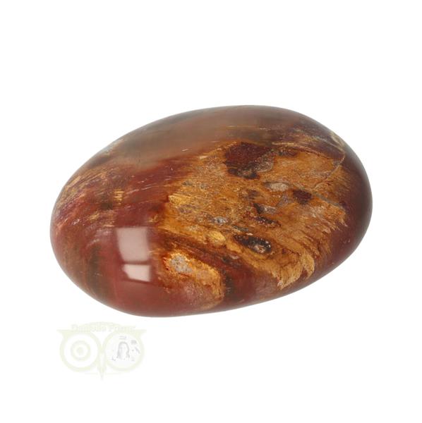 Grote foto versteend hout handsteen nr 21 77 gram madagaskar verzamelen overige verzamelingen