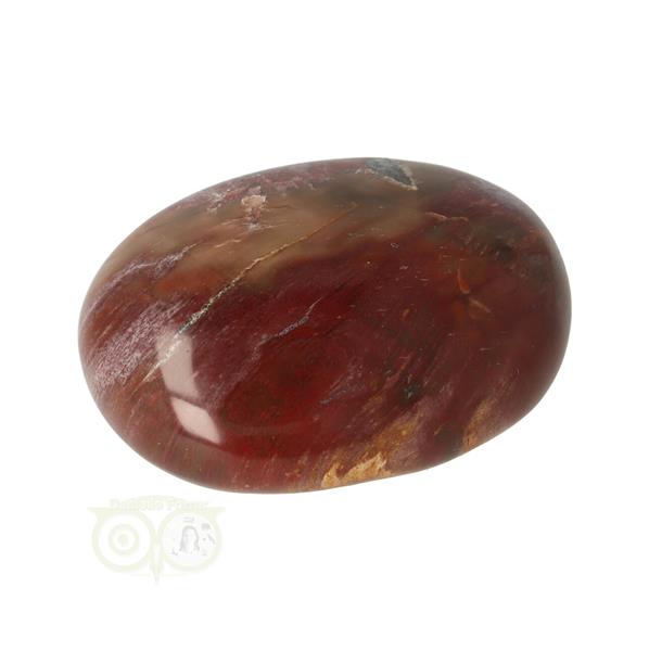 Grote foto versteend hout handsteen nr 21 77 gram madagaskar verzamelen overige verzamelingen