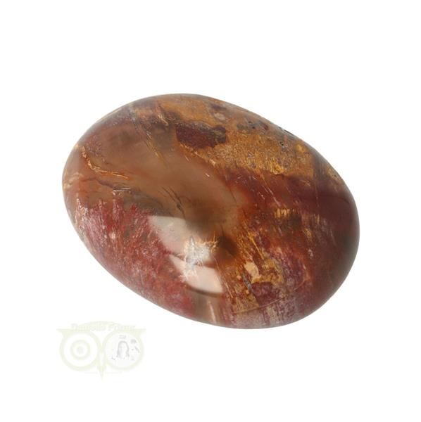 Grote foto versteend hout handsteen nr 21 77 gram madagaskar verzamelen overige verzamelingen
