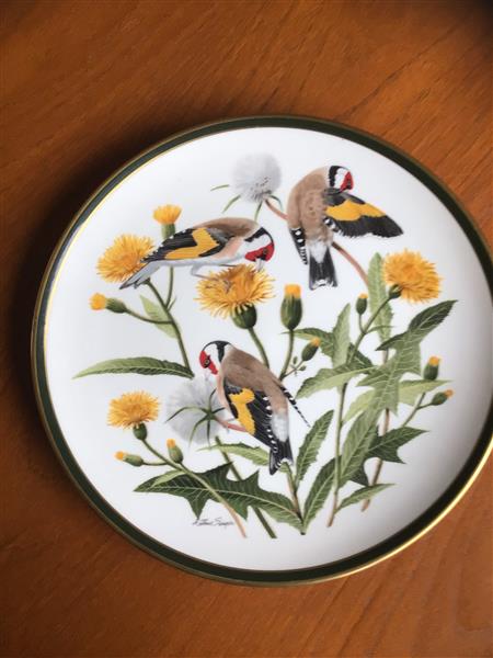 Grote foto porselein borden vogels antiek en kunst keramiek en aardewerk