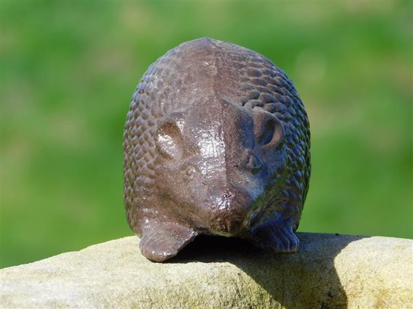 Grote foto beeldje egel bruin gietijzer tuin en terras tuindecoratie
