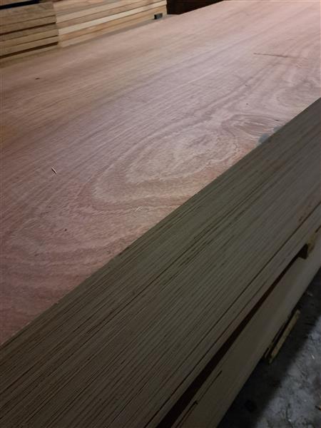 Grote foto betonplex berken 125x250x18mm prijs 80 euro doe het zelf en verbouw platen en panelen