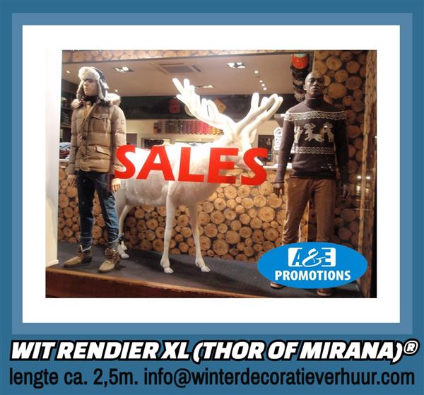 Grote foto winterwonder land items verhuur limburg hobby en vrije tijd feestartikelen