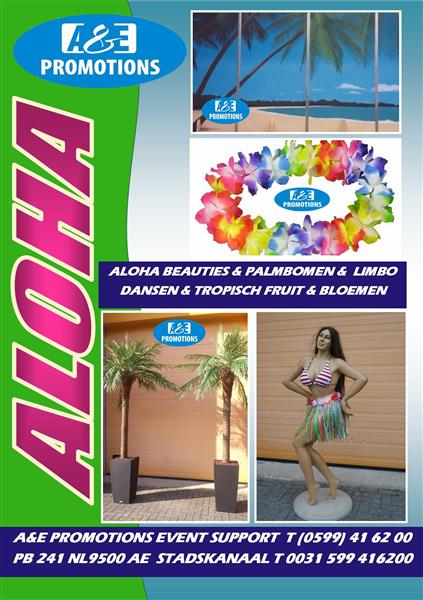 Grote foto palm oase props verhuur amsterdam t. 0599 41 62 00 hobby en vrije tijd feestartikelen verhuur