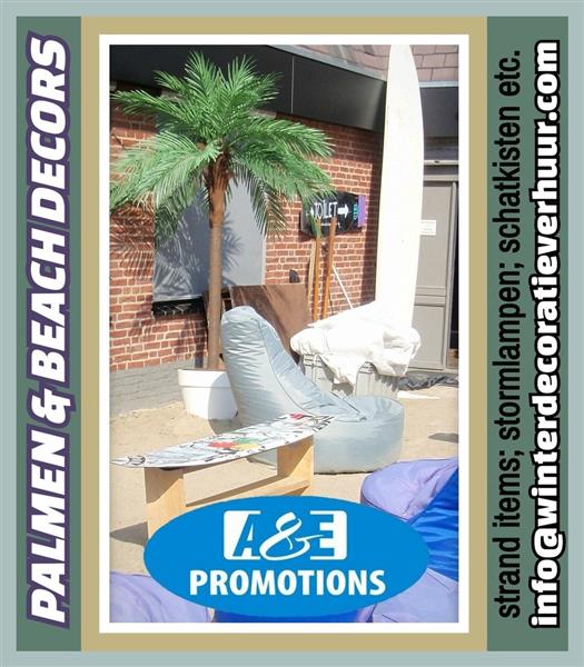 Grote foto palm deocratie verhuur zwolle ommen t. 0599 416200 diensten en vakmensen bedrijfsuitjes