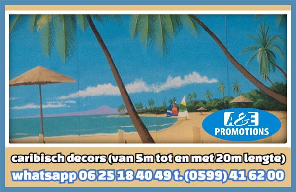 Grote foto palm deocratie verhuur zwolle ommen t. 0599 416200 diensten en vakmensen bedrijfsuitjes