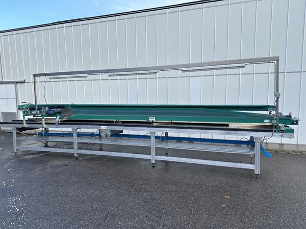 Grote foto sado transportband dubbele verpakkingstransportband 800 x 60 cm agrarisch transportbanden