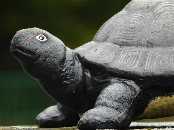 Grote foto beeld schildpad gietijzer decoratief beeld tuin en terras tuindecoratie