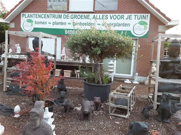 Grote foto het grootste aanbod boeddha beelden tuin en terras tuinbeelden en tuinkabouters