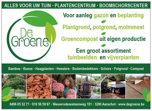 Grote foto het grootste aanbod boeddha beelden tuin en terras tuinbeelden en tuinkabouters
