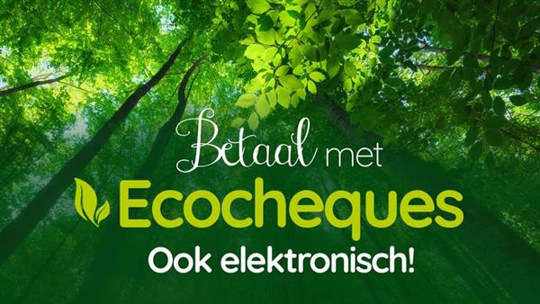 Grote foto het grootste aanbod boeddha beelden tuin en terras tuinbeelden en tuinkabouters