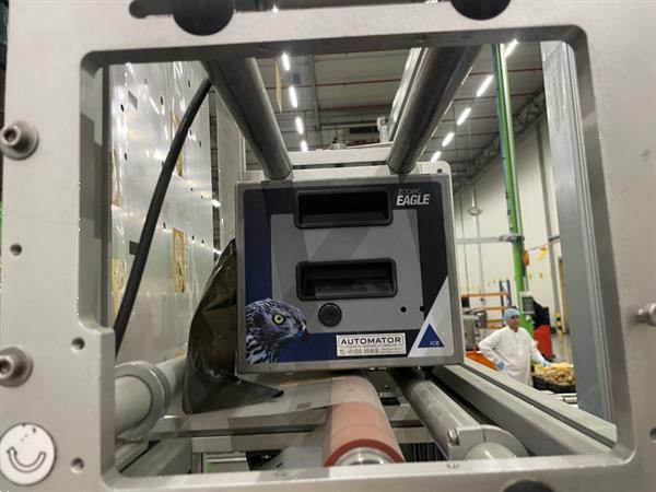Grote foto g. mondini e 350 vg top seal verpakkingsmachine met ontnester agrarisch tuinbouw