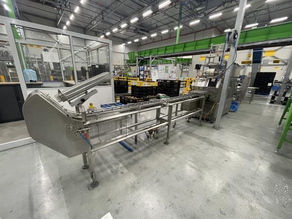 Grote foto g. mondini e 350 vg top seal verpakkingsmachine met ontnester agrarisch tuinbouw