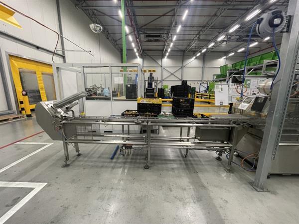 Grote foto g. mondini e 350 vg top seal verpakkingsmachine met ontnester agrarisch tuinbouw