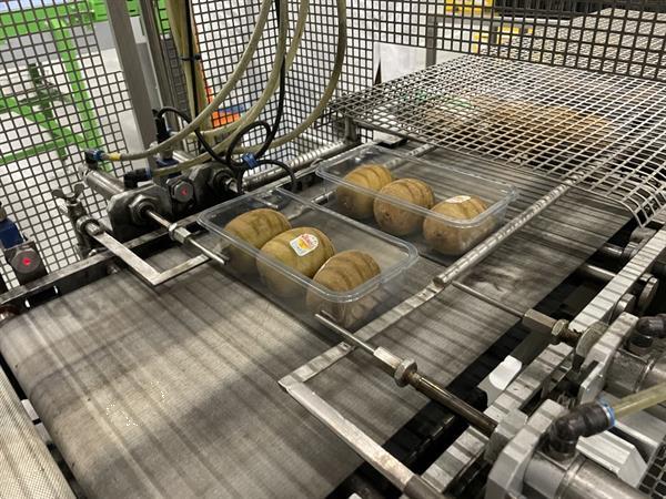 Grote foto g. mondini e 350 vg top seal verpakkingsmachine met ontnester agrarisch tuinbouw