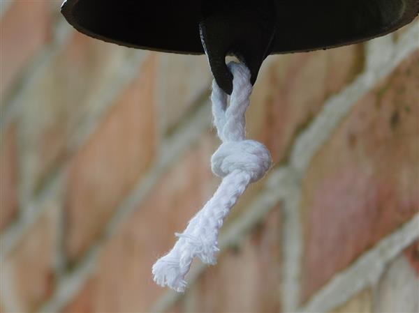 Grote foto deurbel met vogeltjes gietijzer bel met koord tuin en terras tuindecoratie