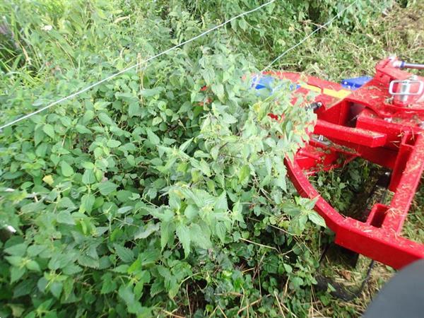 Grote foto dra import palen maaier agrarisch maaiers