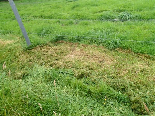 Grote foto dra import palen maaier agrarisch maaiers