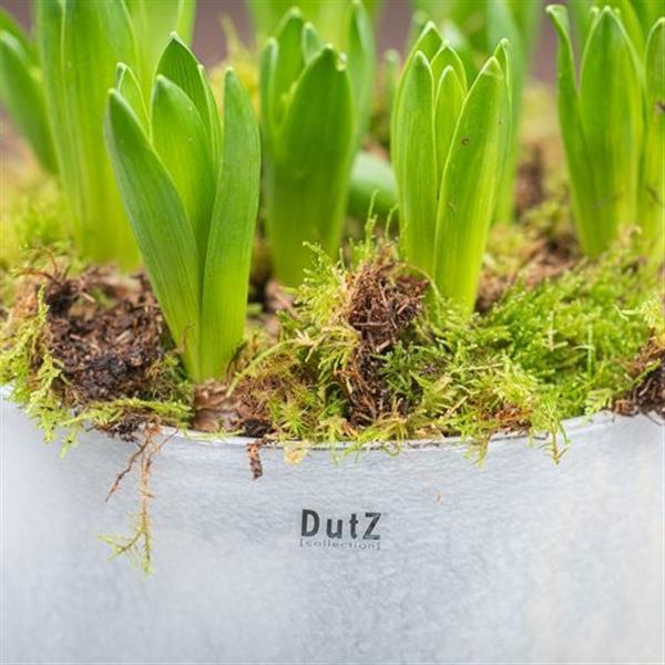 Grote foto schaal xl wit h24xd32 cm huis en inrichting woningdecoratie