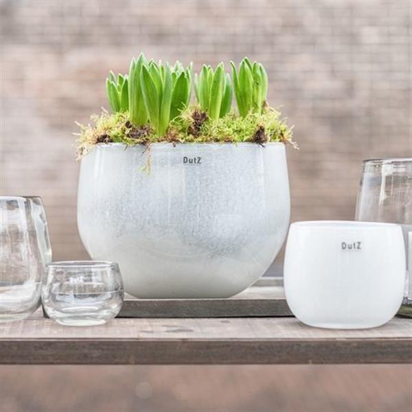 Grote foto schaal xl wit h24xd32 cm huis en inrichting woningdecoratie