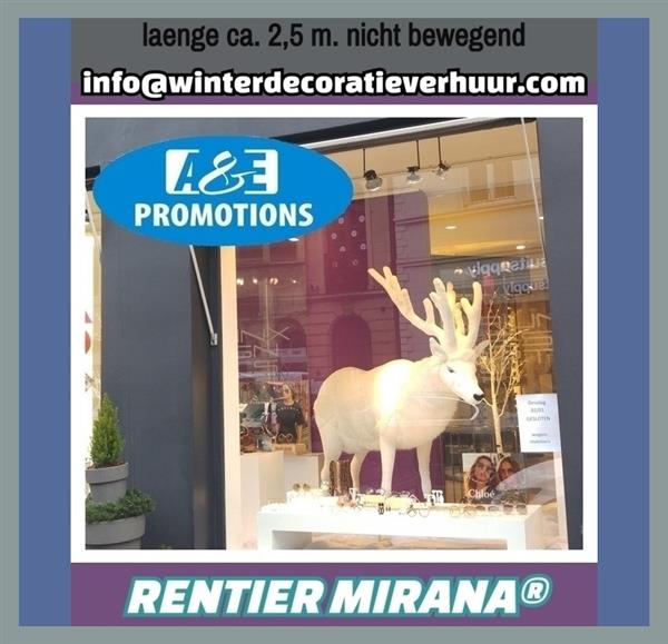 Grote foto verhuur reuzen kerstman wensbanner gratis assen diversen overige diversen